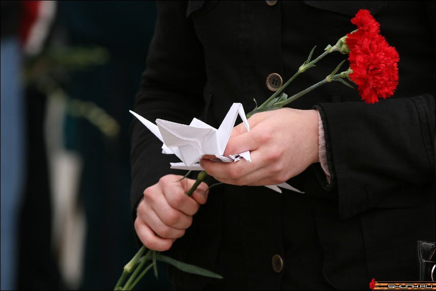 Фото из открытых источиков