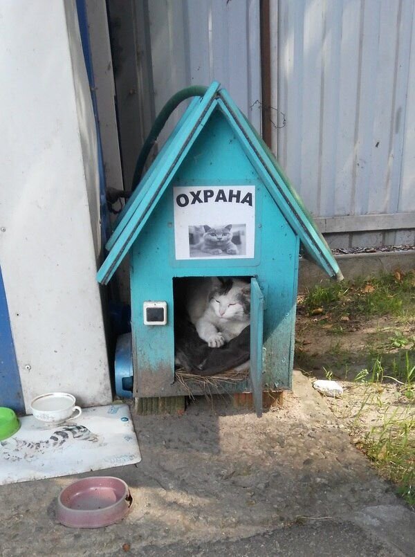 Картинка из интернета. 