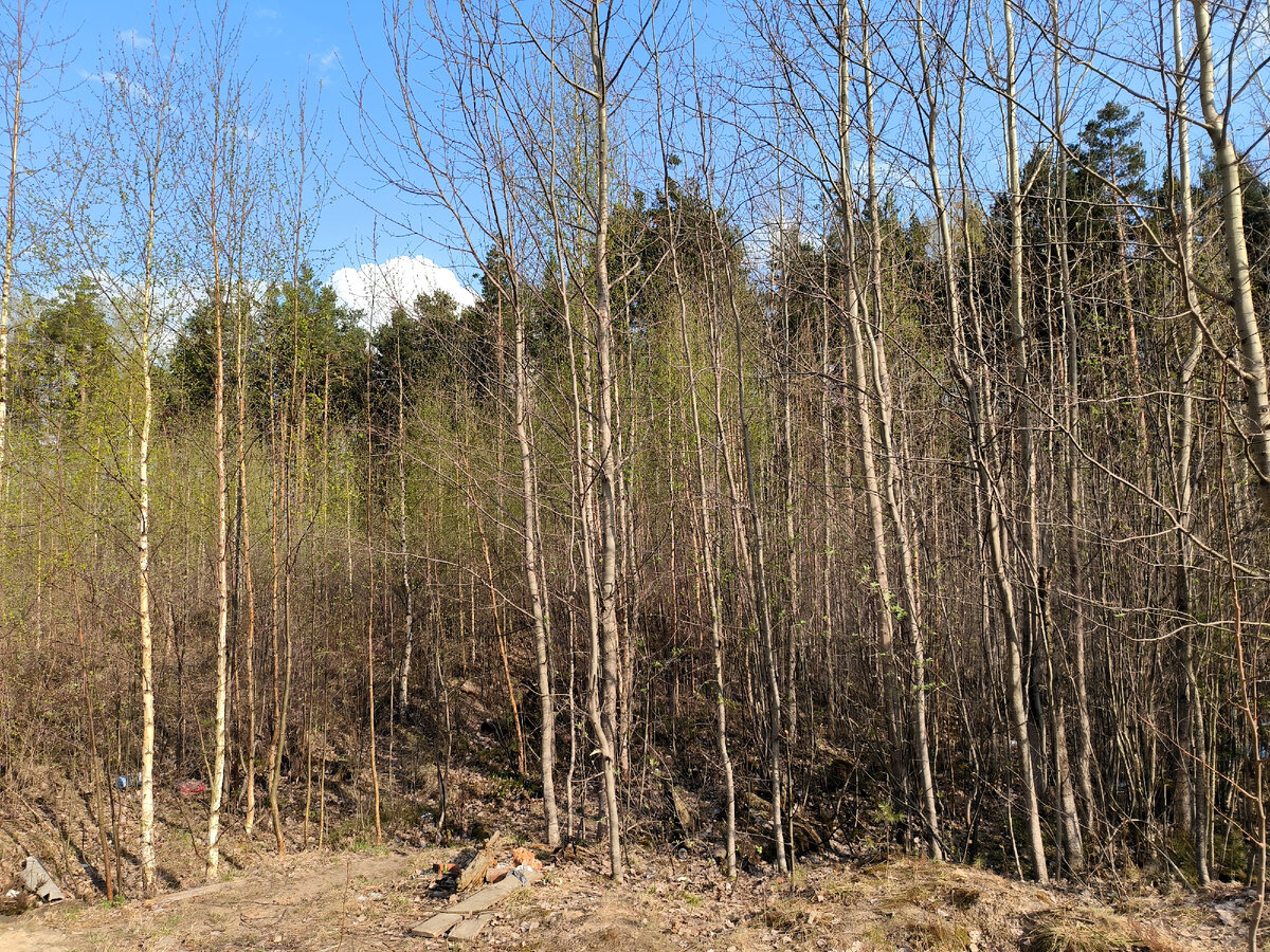 Фото: Maksim Konstantinov/Global Look Press