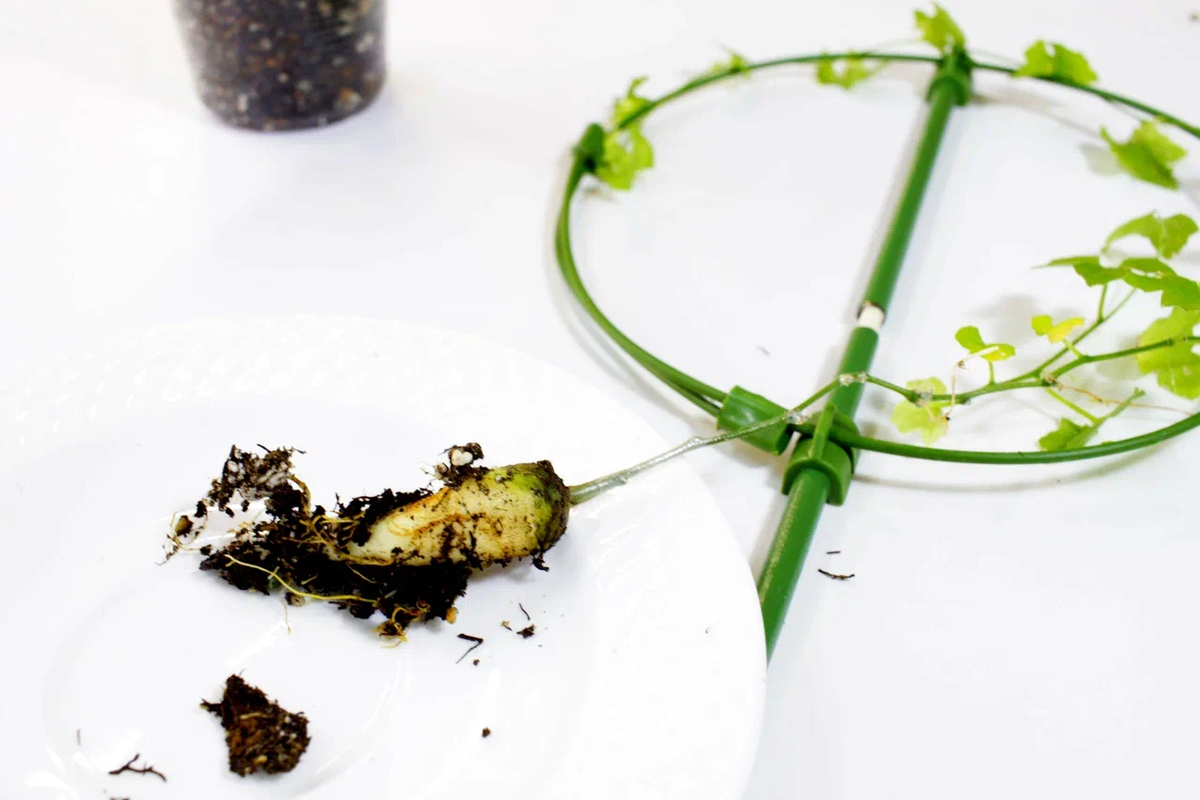 рисунок ко дню победы 9. рисунок на тему 9 мая день победы. помним гордимся 9 мая. вспомни детство. рисунок я помню я горжусь детский.