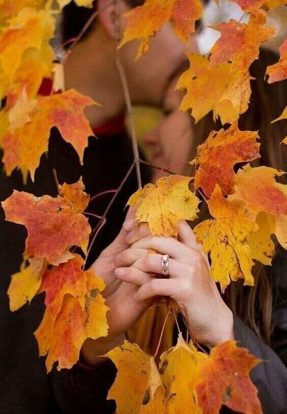 Осенние дни.