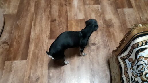 стоны для ролевой буквами. разорвало тишину слова. тихо стону. тихие стоны. утренние ласки.