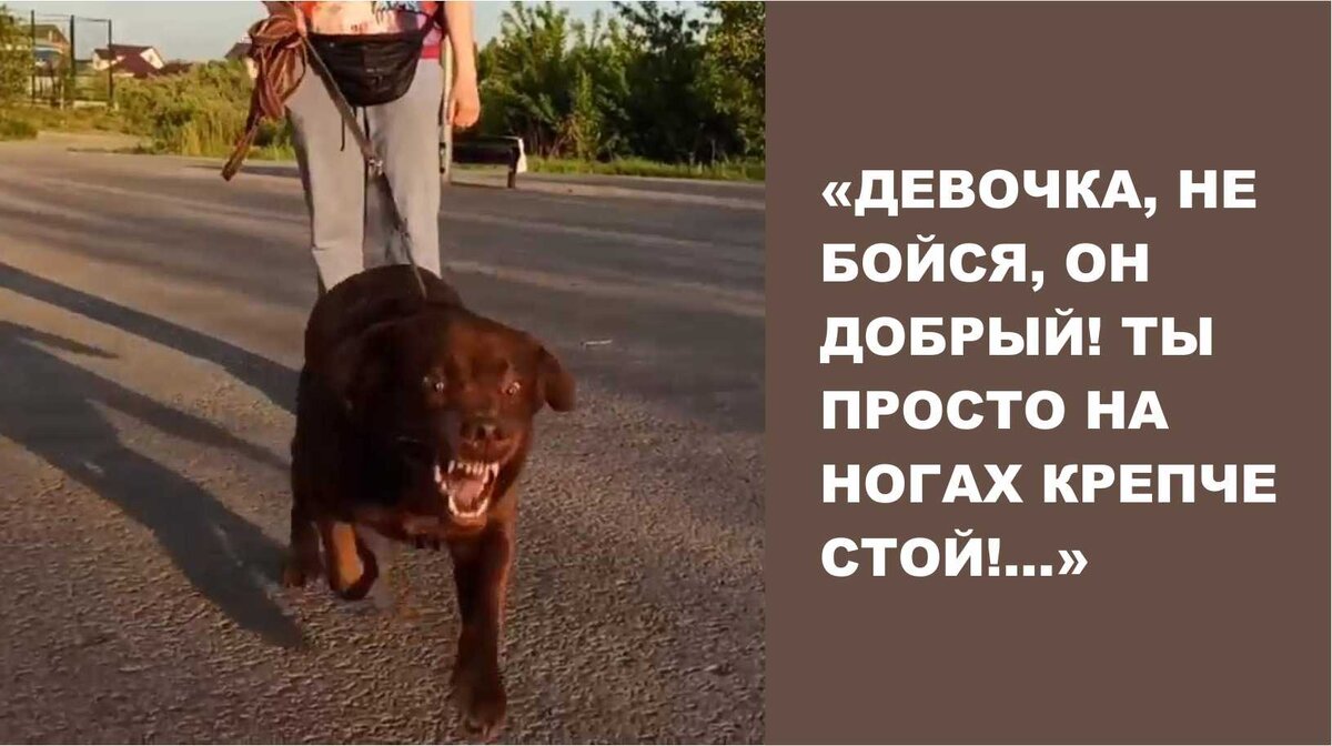 Как увидеть доброго человека. Добрый и злой человек. Человеческая доброта. Картина понимание. Как увидеть доброго человека.