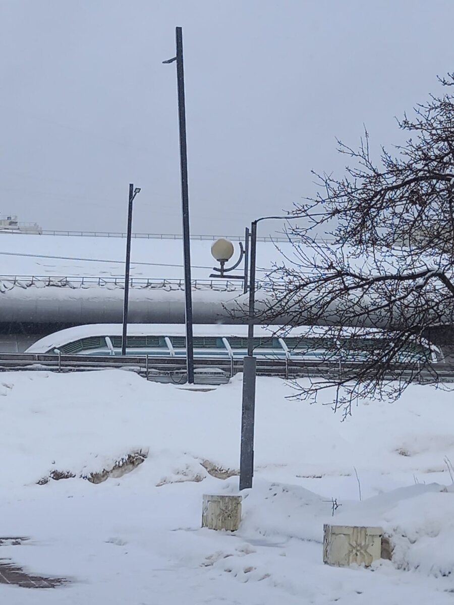 Фото автора.