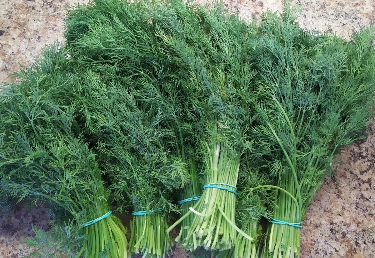 фото https://mykaleidoscope.ru/