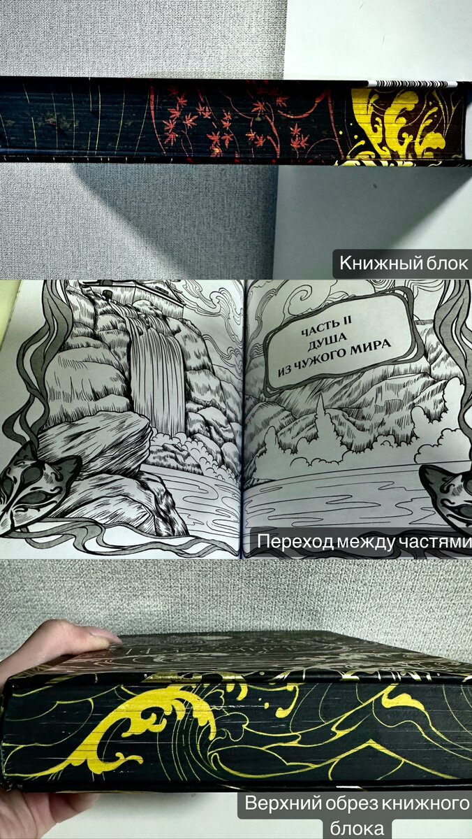 Небольшой фото-обзор книги