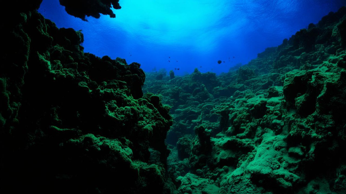 Тихий океан марианская впадина. Тихий океан марианский желоб глубина в метрах. Марианская впадина схема глубины. Самой глубокой впадиной мирового океана является. Марианская впадина на карте тихого океана глубина.
