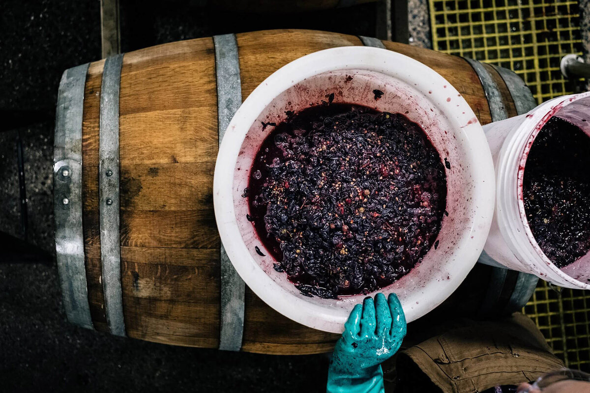 Осадок образуется в результате брожения (ферментации) вина, сложного физико-химического процесса, при котором дрожжи перерабатывают природные сахара в алкоголь