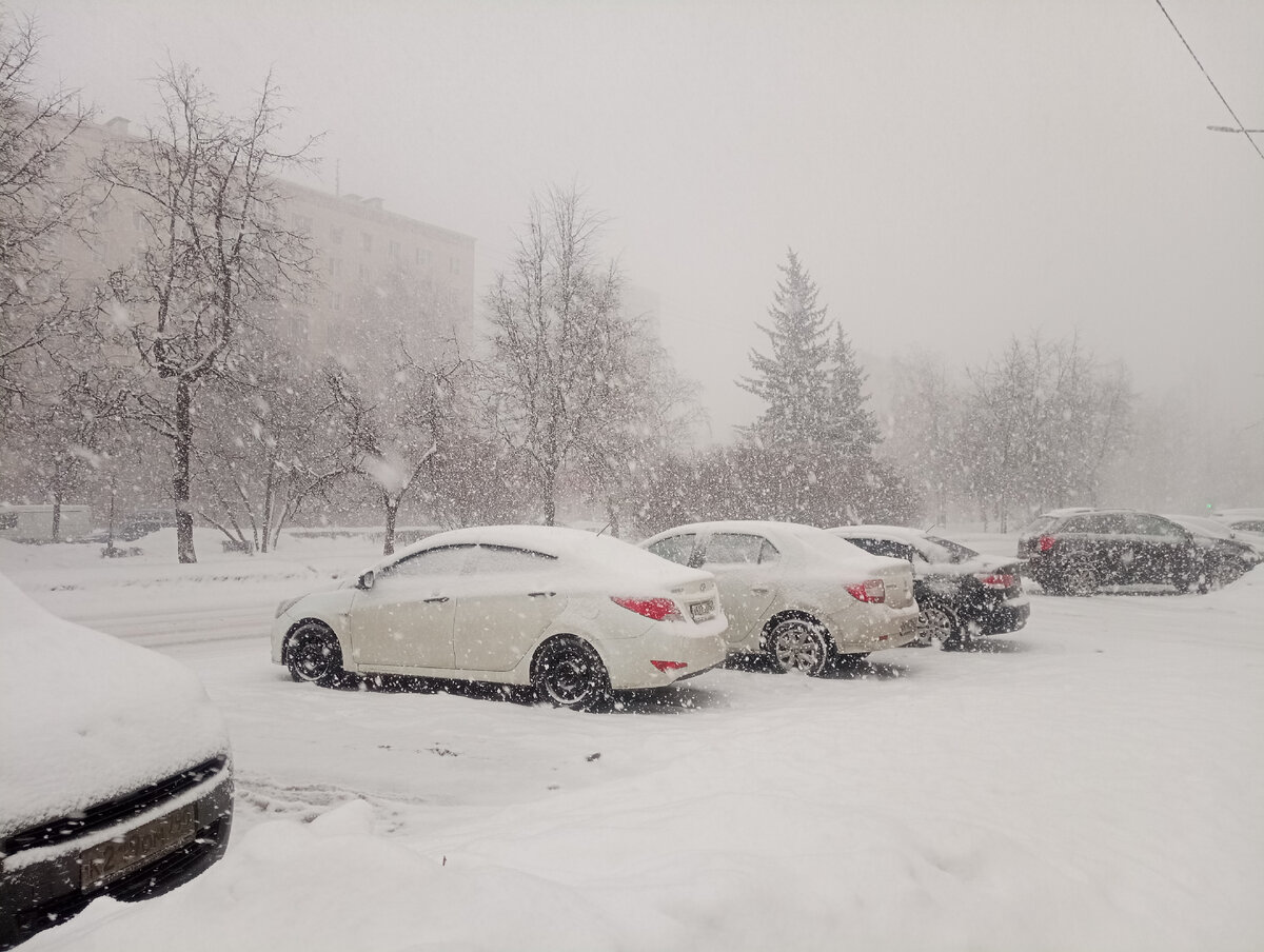 Вчера нас завалило