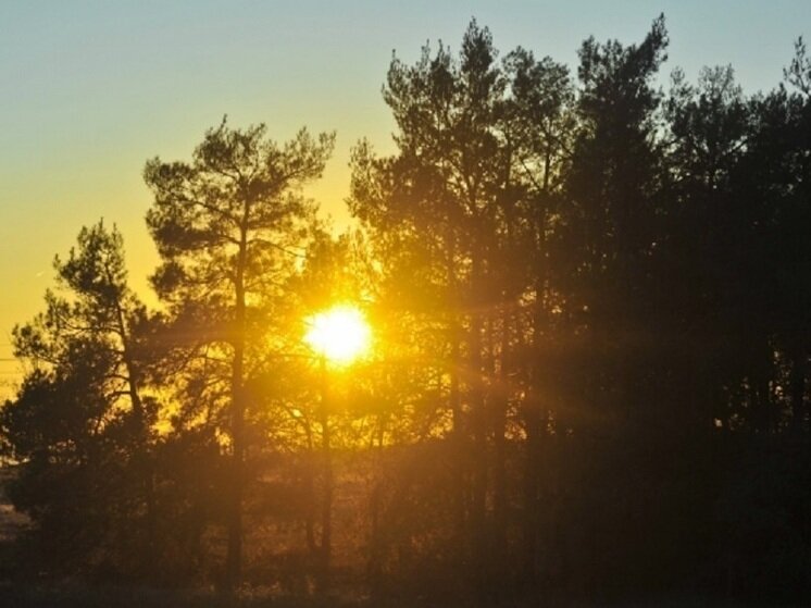 Мк в волгограде дзен магнитные. Магнитные бури 23 марта. Мк в волгограде дзен магнитные. Магнитные бури в мае 2023 года. Мк в волгограде дзен магнитные.