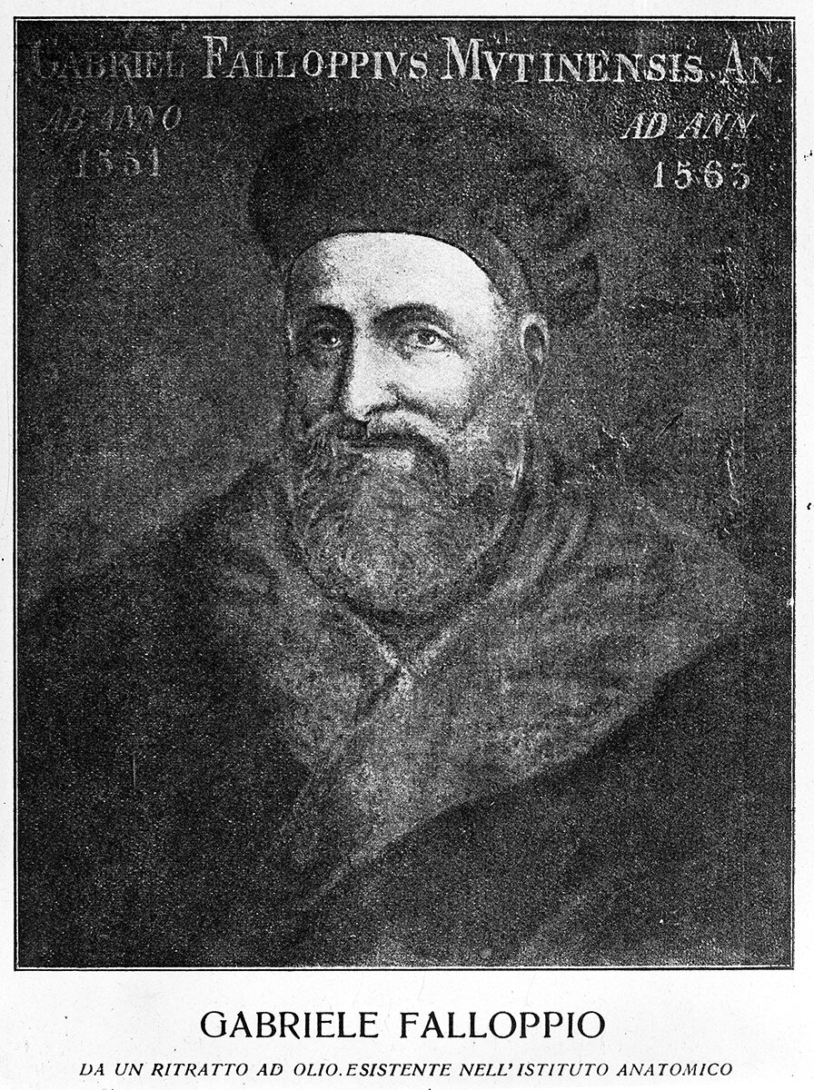 источник: https://upload.wikimedia.org/wikipedia/commons/e/eb/Portrait_of_Gabriele_Fallopius_%28Falloppio%29_%281523-1562%29_Wellcome_M0011972.jpg