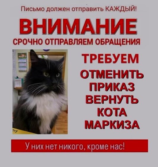 Скриншот с https://www.youtube.com/watch?v=LfJAw52ZoLo 