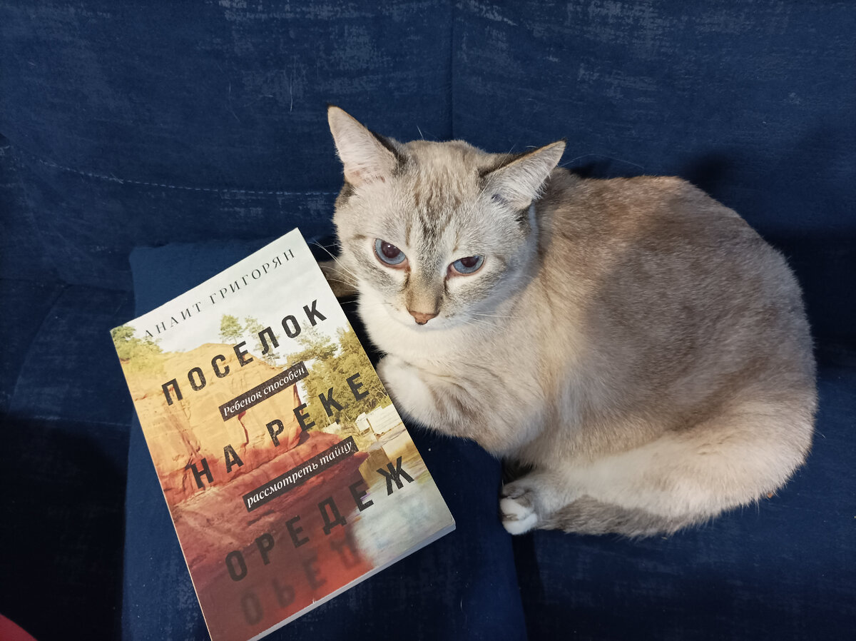 Книгу в мягкой обложке из сети магазинов Fix Price сегодня представляет Дженька на новом диване, как шутит жена, подобранном специально под цвет её глаз🤣. 