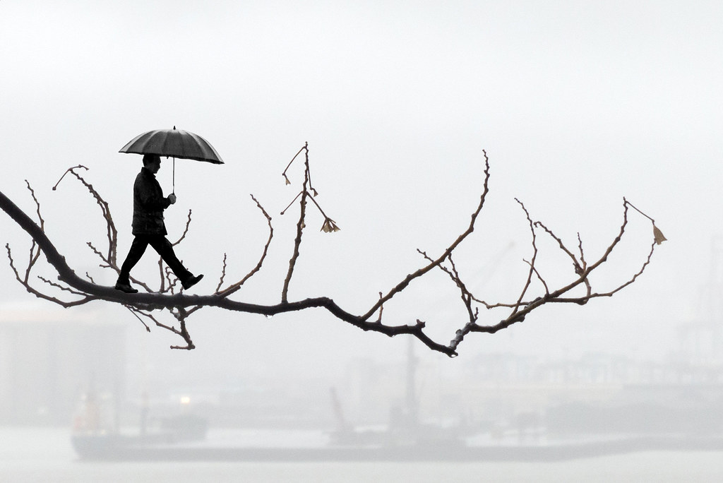 Andar por las ramas. Ходить вокруг да около. Откуда укра... позаимствовано: https://www.flickr.com/photos/carlosolmedillas/15927271863/ 