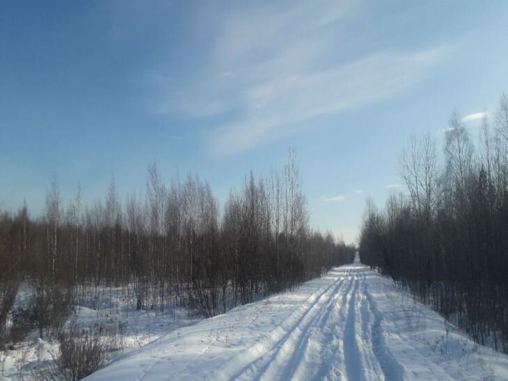    дорога