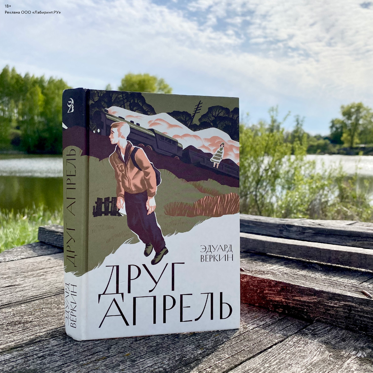 книга про сестер близнецов.