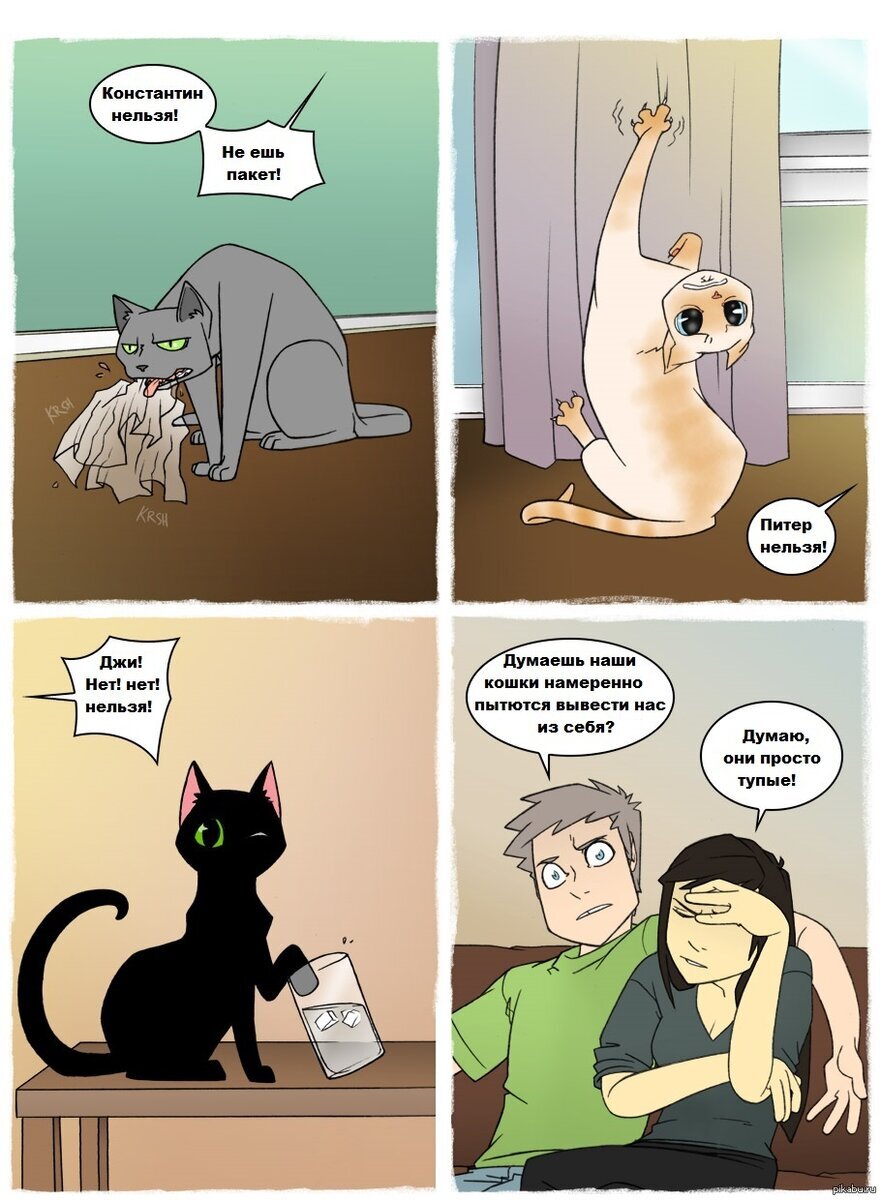 Комикс про кошек. Комикс про кота. Смешной комикс про кота. Комиксы про котят. Комиксы про жизнь с котом.