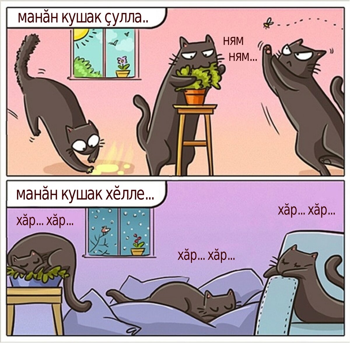 Русский комикс про котов. Смешные комиксы. Комиксы с котами. Комикс про кота. Смешные комиксы про котов.