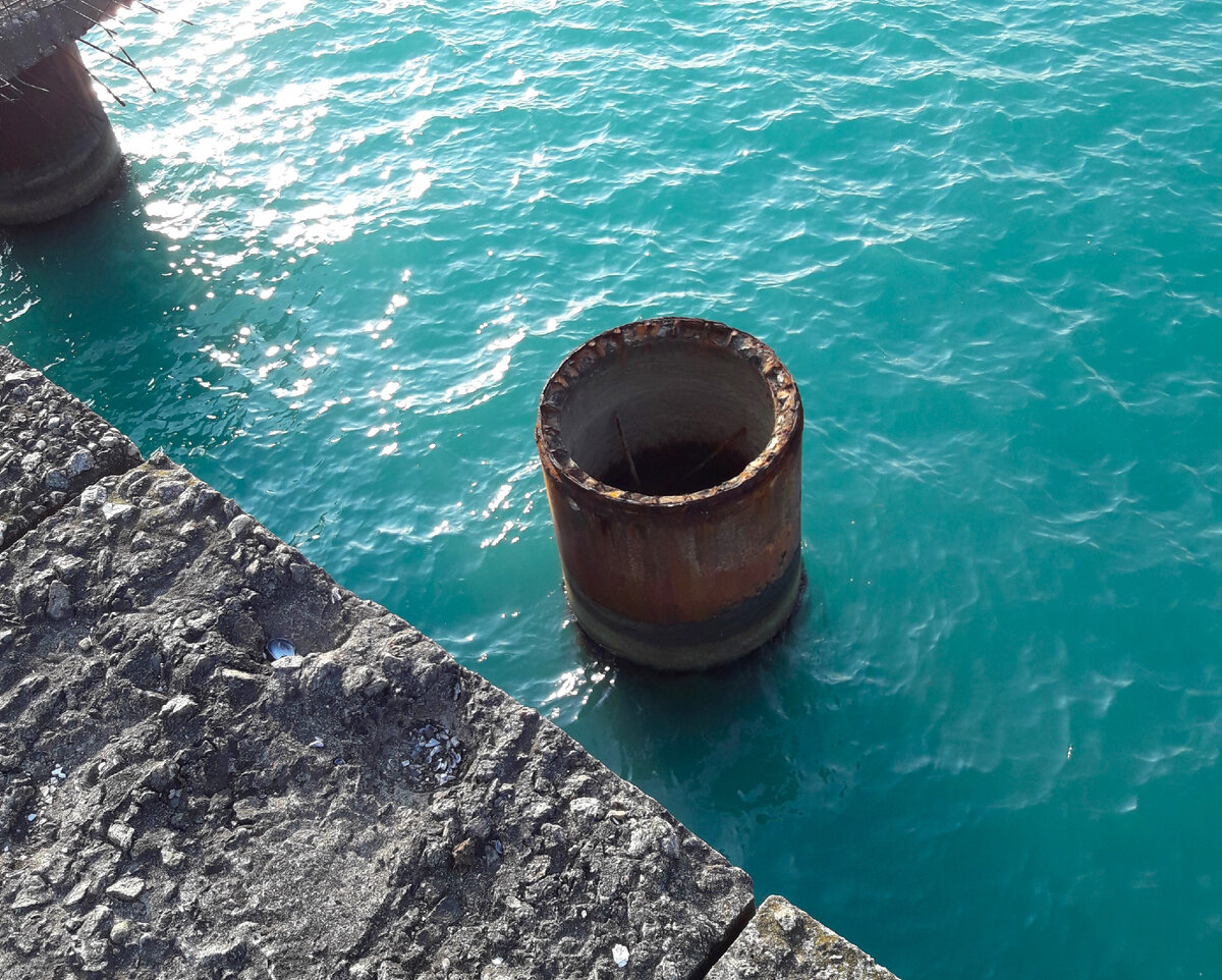 солнце светило по зимнему ярко. солнце садилось и косыми лучами освещало верхушку высокого дуба. предложение со словом посветить. солнце садилось но туристы по прежнему. принц ударение рисунок.