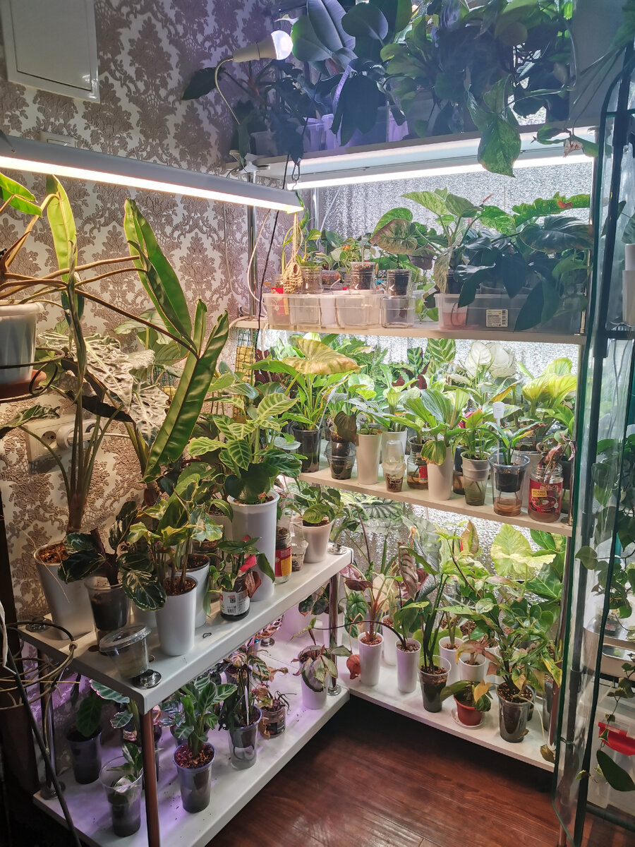 Моя коллекция, на которую ушло 6 часов обработки.