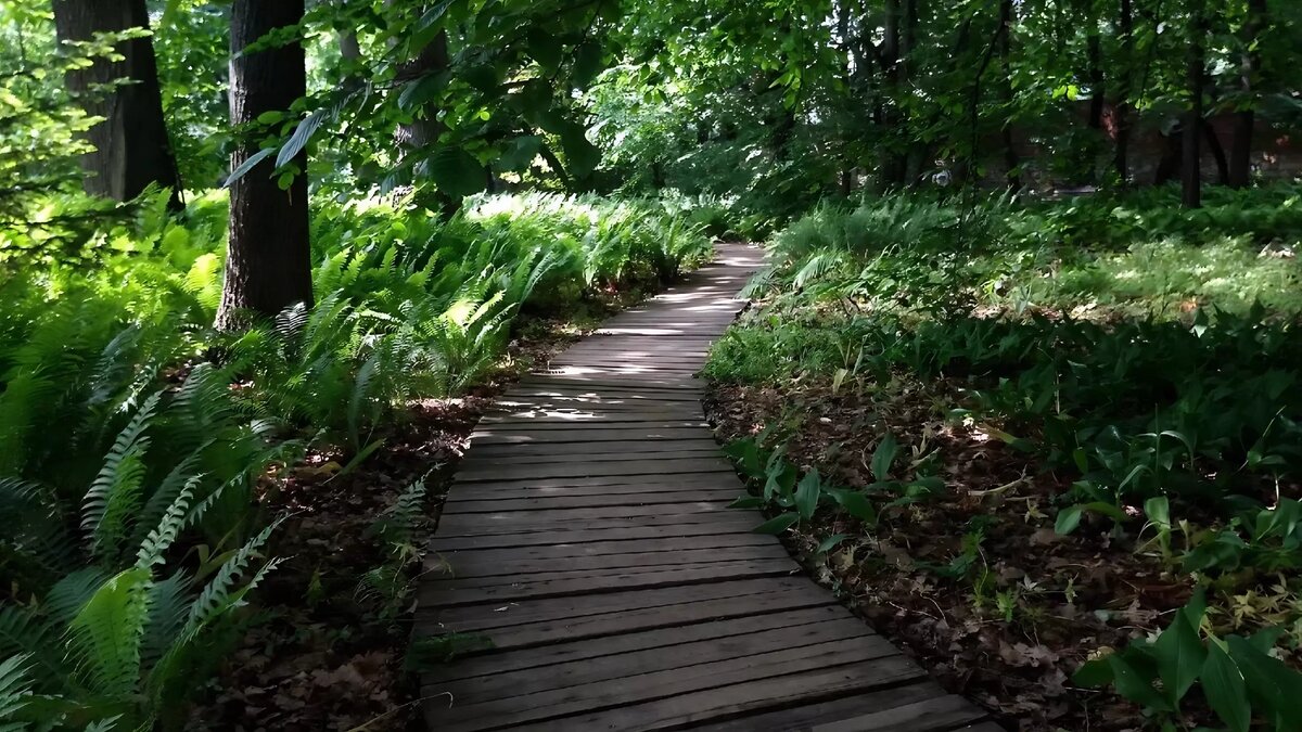     Жители Казани продолжают настаивать на прекращении вырубки леса на улице Дубравной. Соответствующее обращение на своей странице во «ВКонтакте» опубликовал пользователь Эдуард Ситдиков.