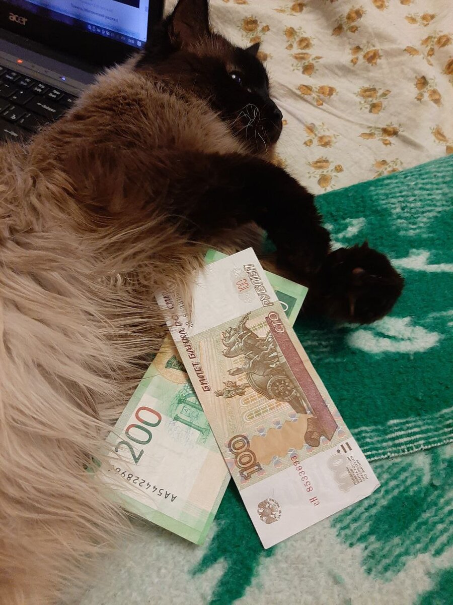 Считалки для детей. Раз, два, три, четыре, пять. Веселые считалочки для детей. Раз, два, три, четыре, пять. Считалки для дошкольников.