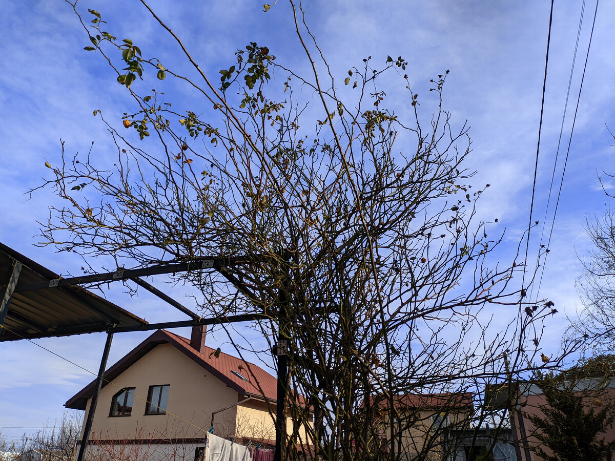 профилактика солнечного и теплового удара. солнечный удар. проводить на солнце не. чудесный закат. высказывания про солнышко.