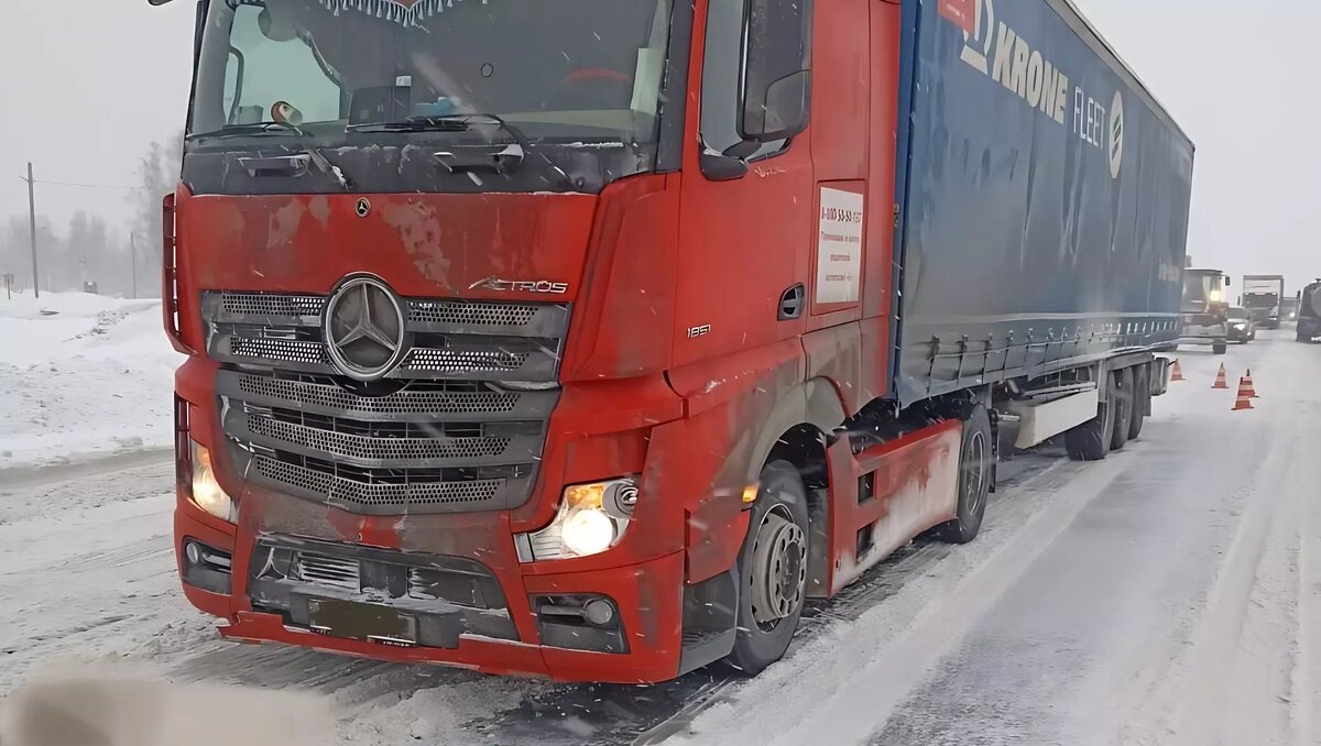 сбитые пешеходы. сбитые пешеходы.