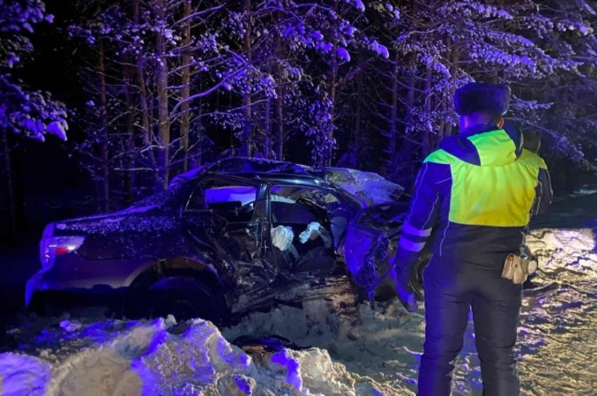    В ГИБДД рассказали подробности смертельного ДТП под Нижним Тагилом