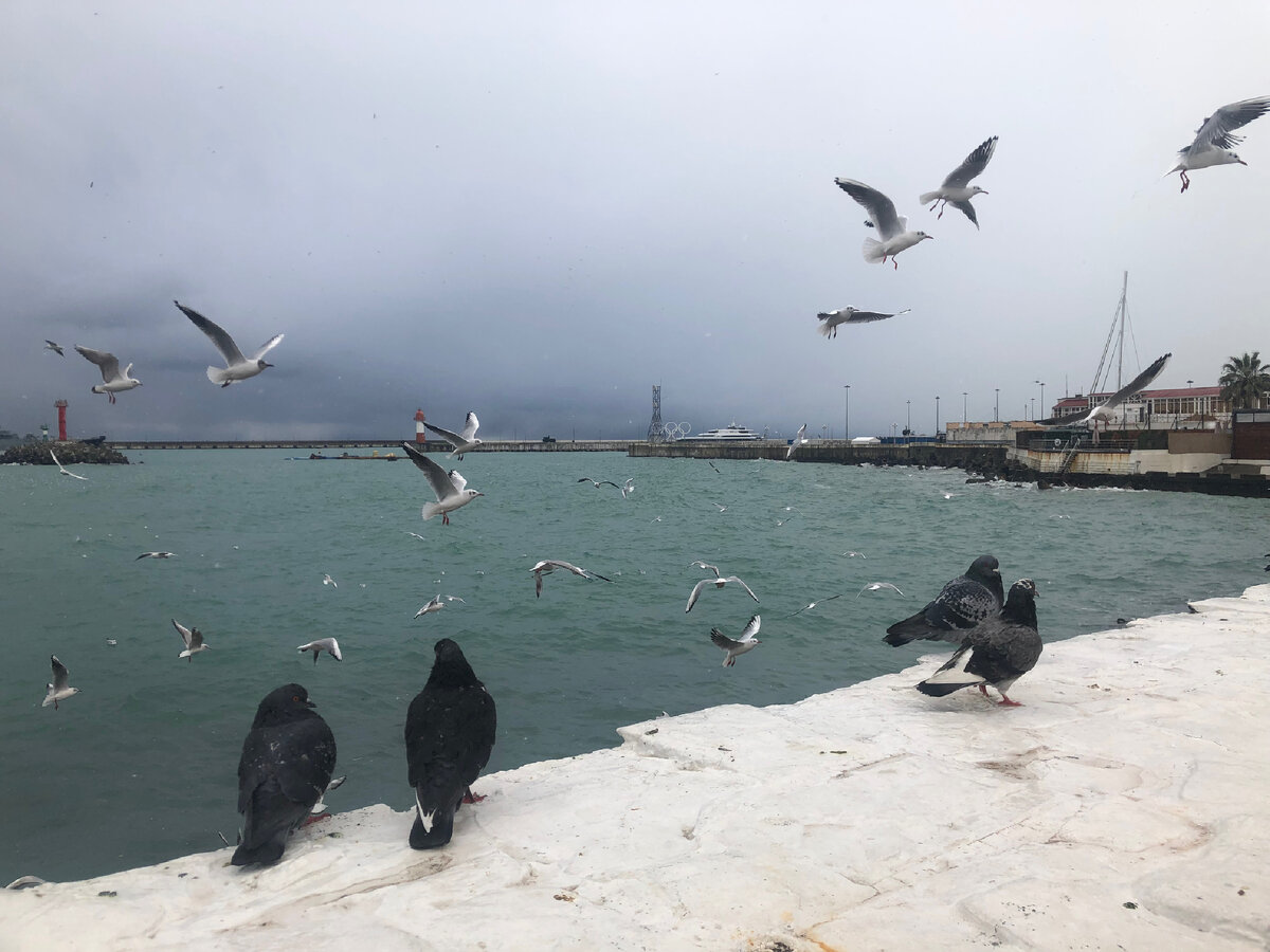 всего лишь мечта. руки к солнцу девушка и парень. мечты о счастье. это всего лишь мечта. девушка на мосту картина.