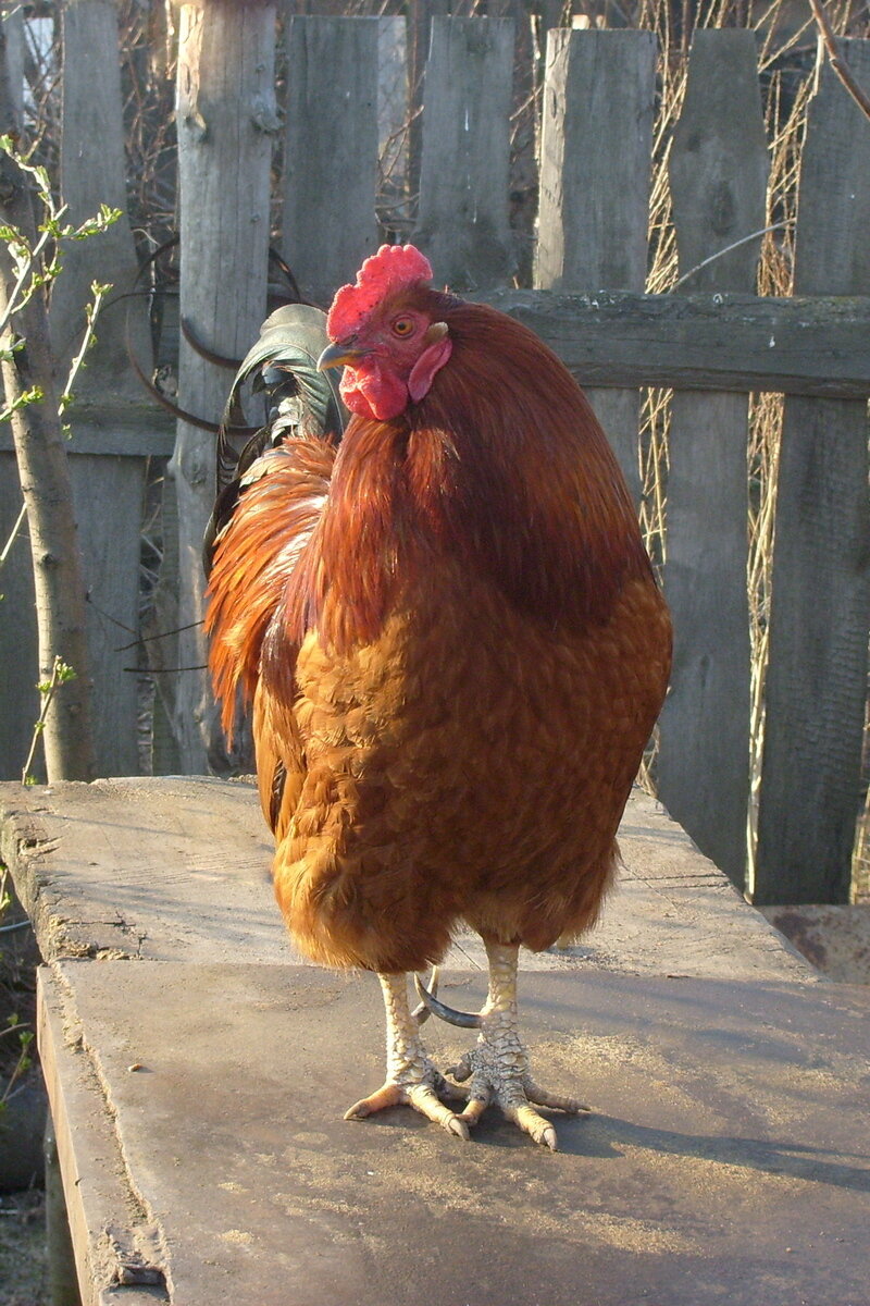 Фото автора. 