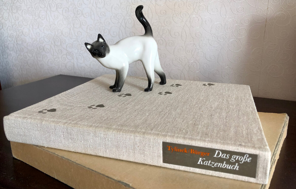 Та самая книга