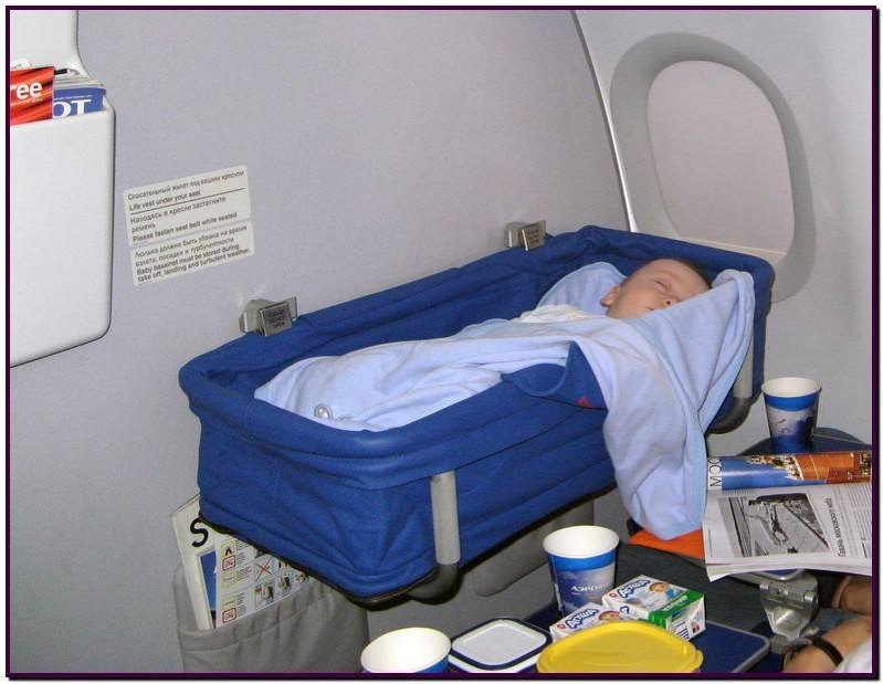 фото из интернет-источника 