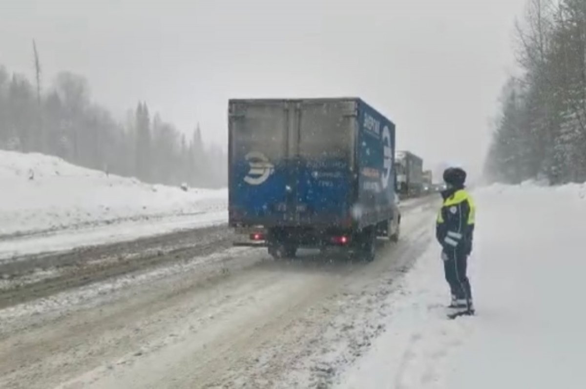    На юге Челябинской области ограничили движение машин из-за метели