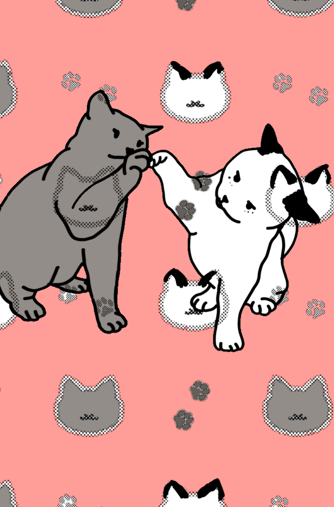 Для любителей котят🥰