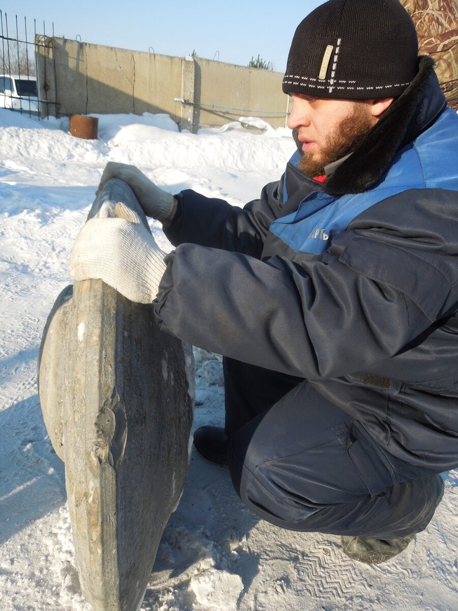    Кузбасс. Загадочный Караканский диск из глубин земли. 2015 год. Лариса МАКСИМЕНКО