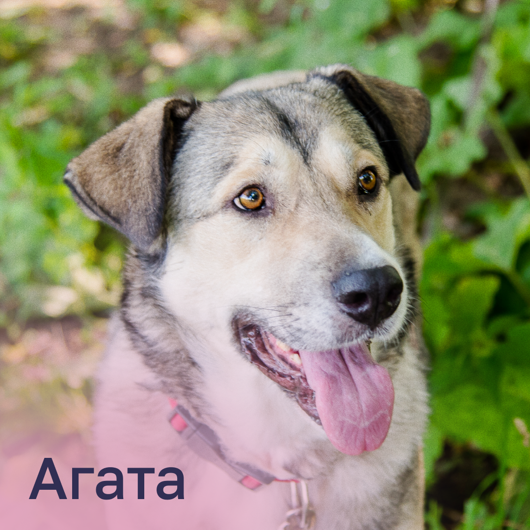 вива круглосуточный номер. гурьянова 55 почта. аптека печатники. шоссейная 1/2с4. , 4.