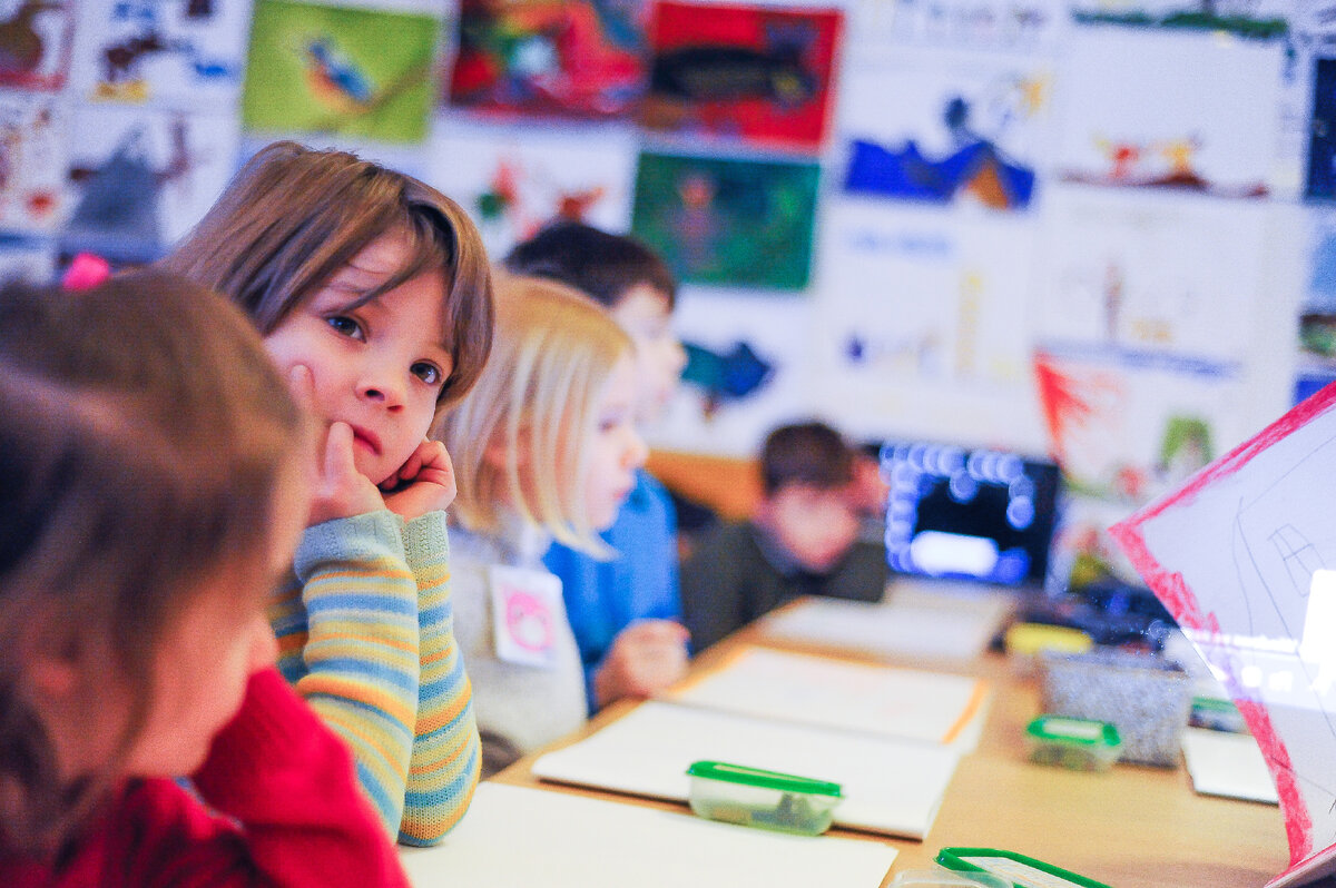 Шуваловская школа, 2018г.