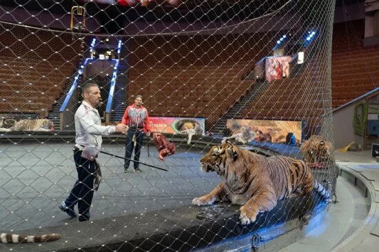    Фото: Александр Вдовенко