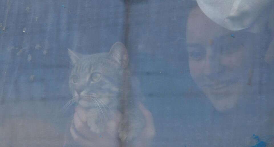    Andriy Andriyenko/Keystone Press Agency/globallookpress