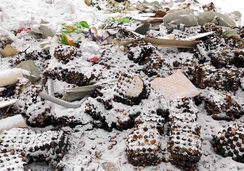 видео где рубль