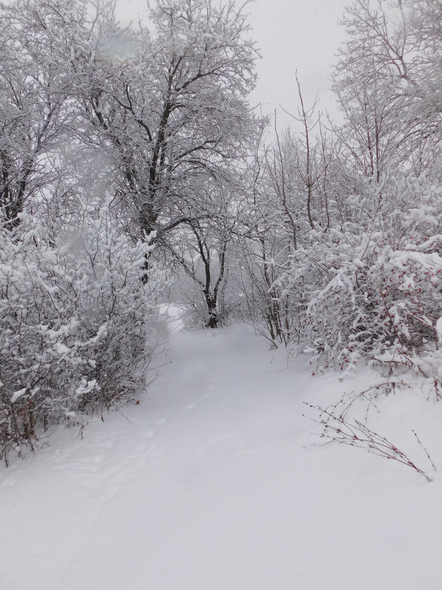 Фото автора канала