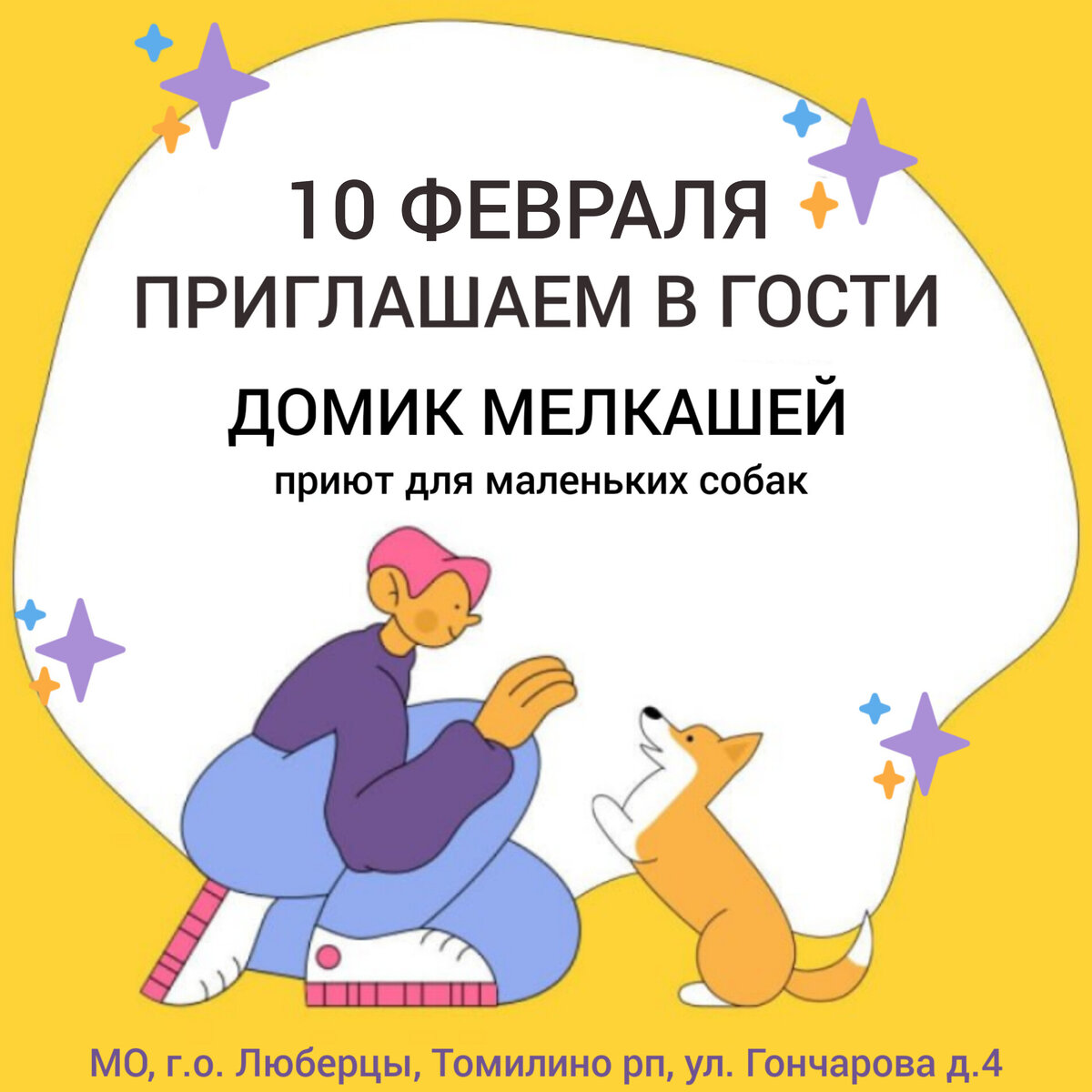 10 февраля в приюте Домик Мелкашей гостевой день! Более 30 маленьких  собачек ищут дом❤️ Приезжайте знакомиться😉 | Домик Мелкашей - приют  маленьких собак | Дзен