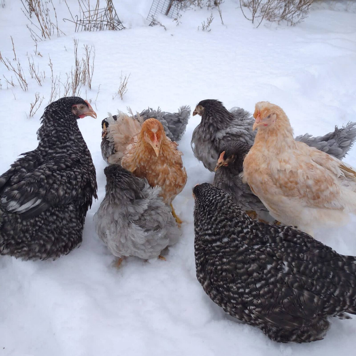 Фото из личного архива