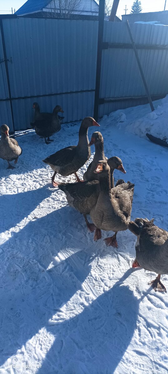 солнце за облаками. все было серо небо дым над крышами воздух. солнце воздух крыш. солнечные лучи в окне. крыши домов арт.