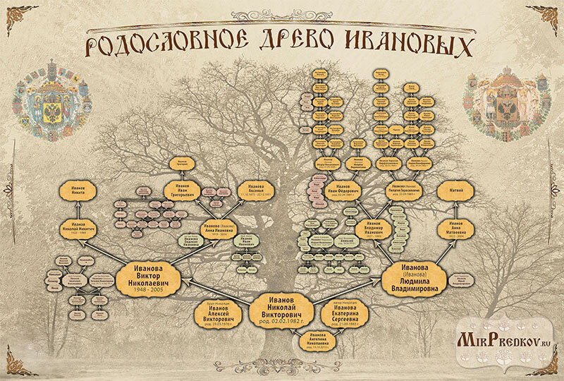 Таблица генеалогическое Древо семьи. Составление генеалогического дерева. Дерево рода.