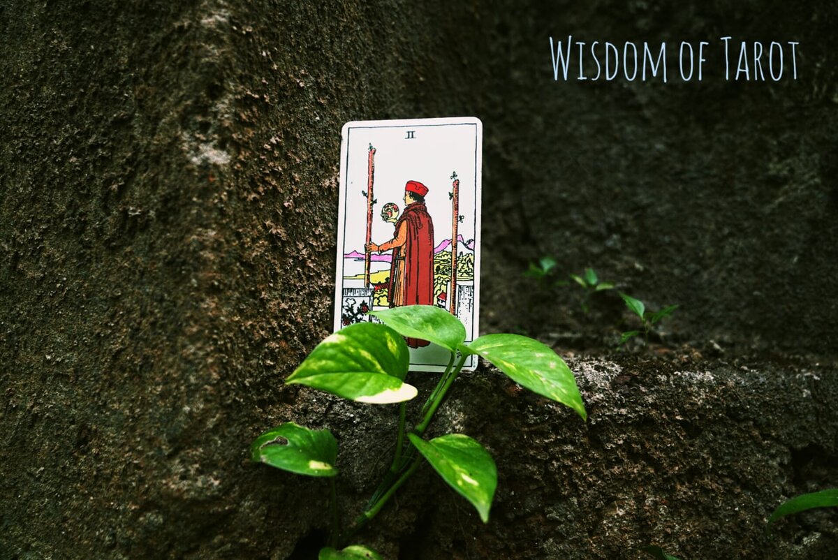 My past week. My past week. Activities my weekend план. паст симпл тенс в английском языке. My past week.