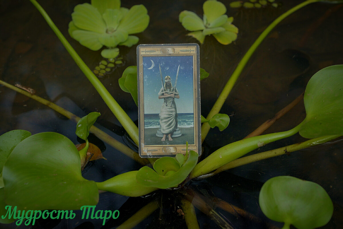 строение уха рыб. строение плавников рыб. равновесие у рыб. строение внутреннего уха рыбы. внутреннее ухо рыб.