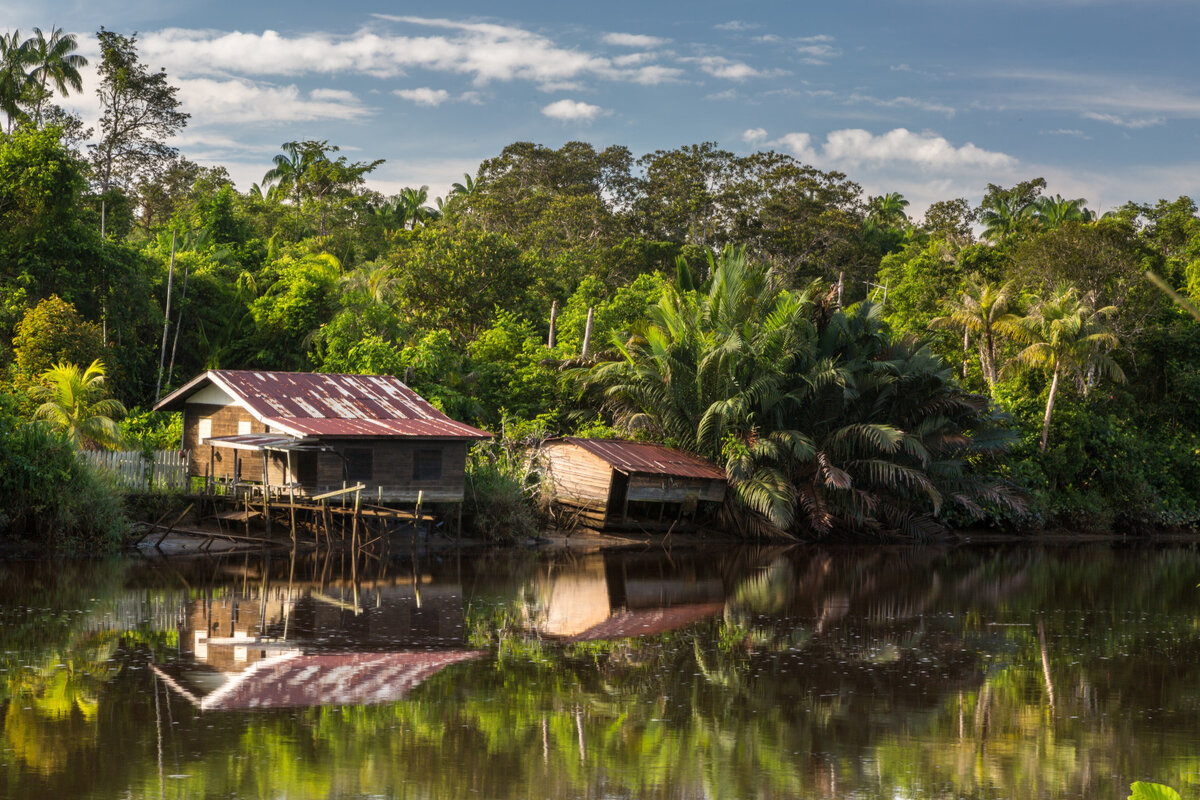 Источник Яндекс картинки