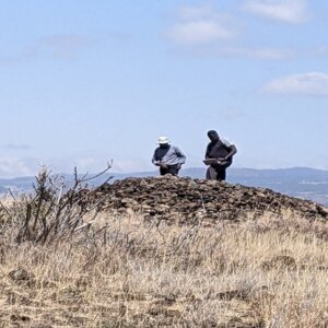 Курганы на исследовательском участке в центральной Кении. 